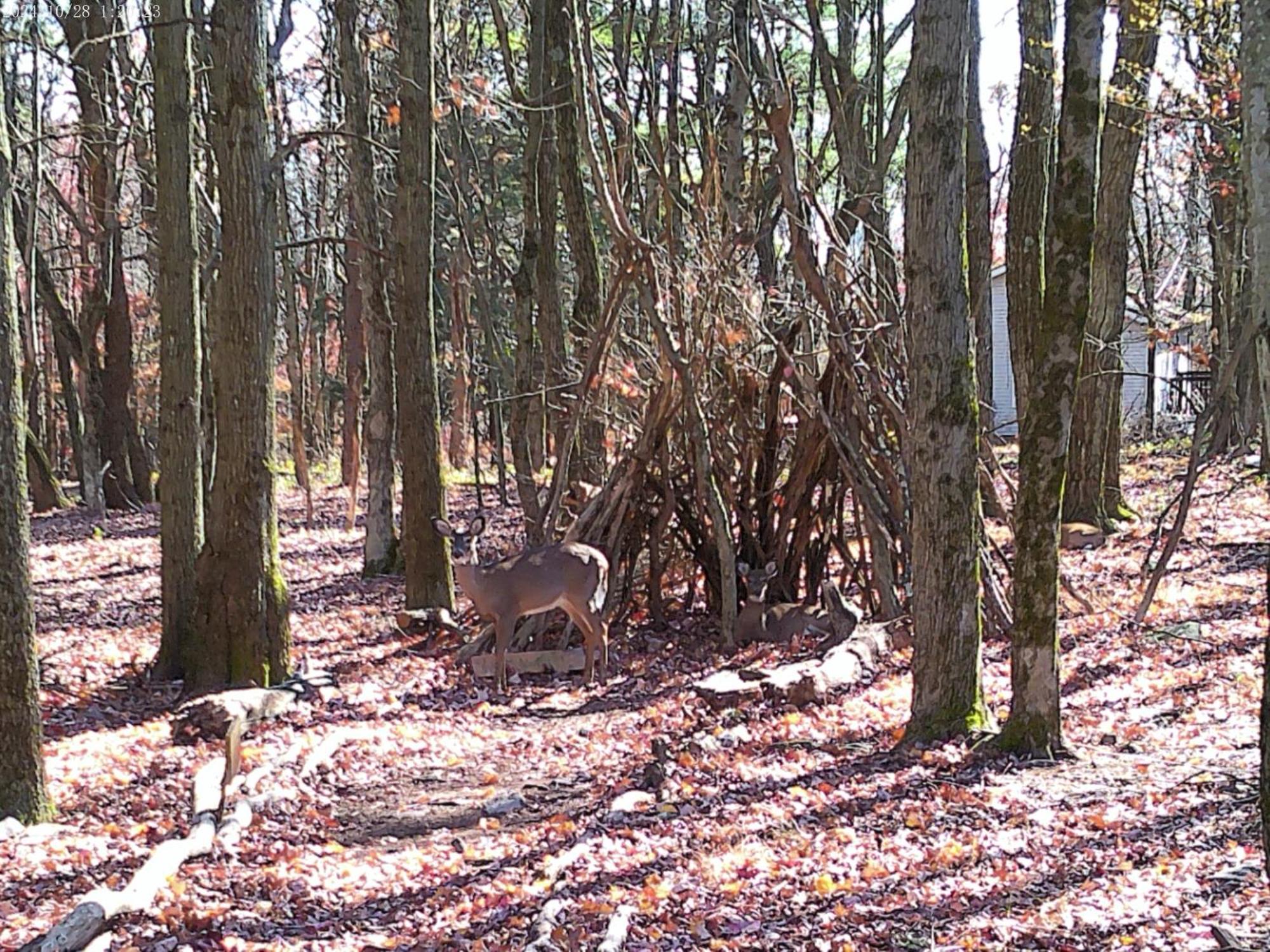 Serenity And Fun In One In Cozy Pocono * Jim Thorpe